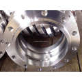 EN1092-1 Flange tipo 12